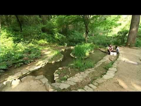 Jardí Botànic Històric de Barcelona