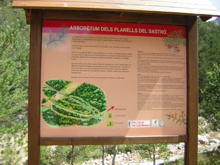 Arborètum dels Planells del Sastró