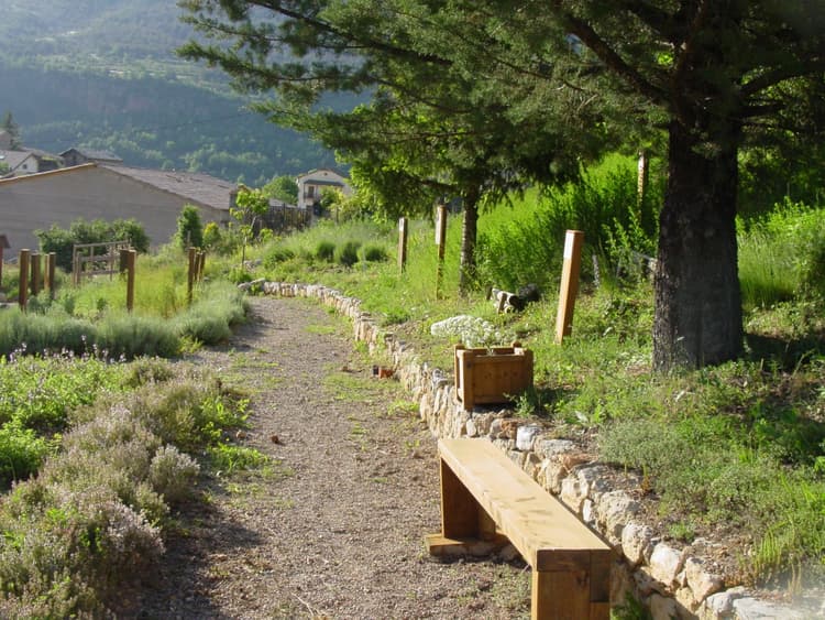 Jardí botànic de les Trementinaires