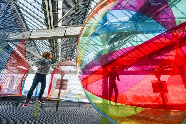 Barcelona Bosc Urbà